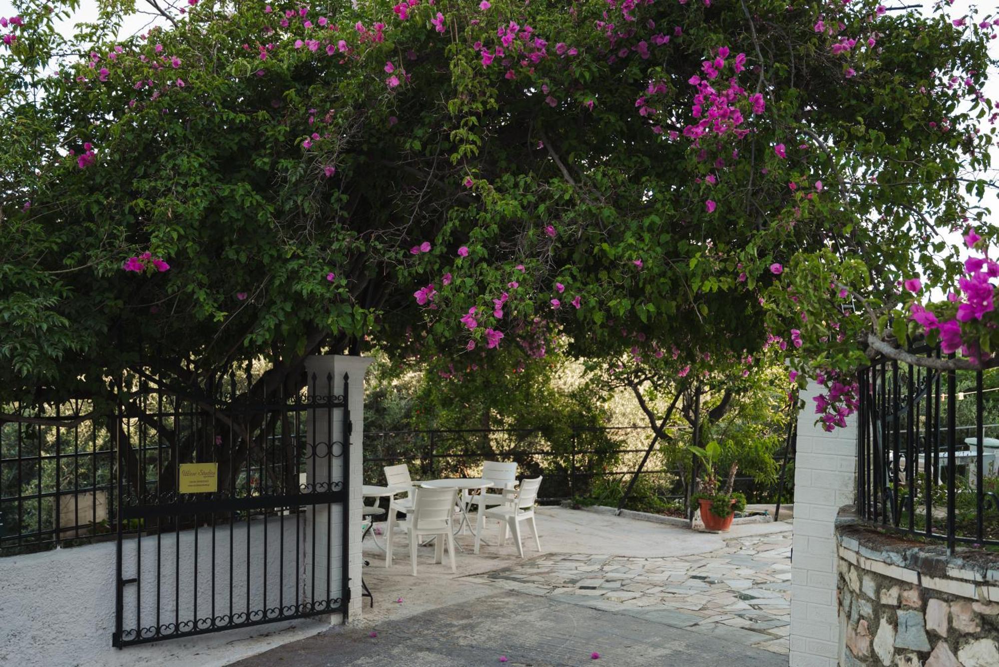Ulisse Apartments Παλαιοκαστρίτσα Εξωτερικό φωτογραφία